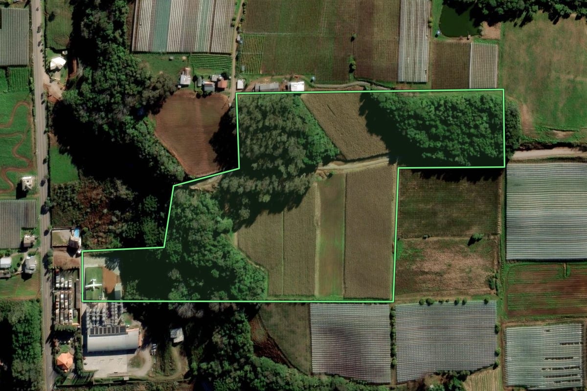 Imagem de satélite do imóvel rural em Flores da Cunha (RS), com o contorno declarado no CAR desenhado por cima.