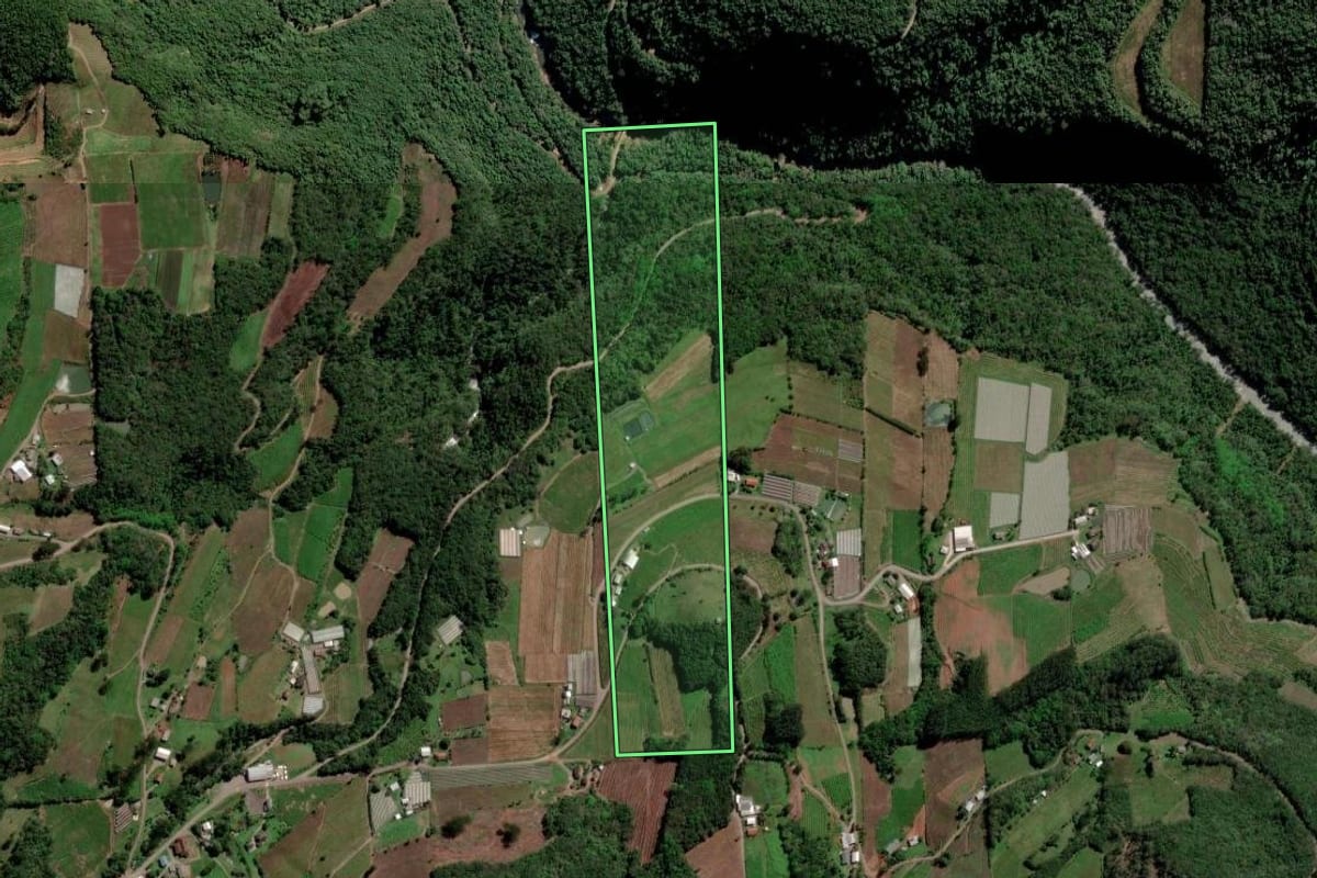 Imagem de satélite do imóvel rural em Flores da Cunha (RS), com o contorno declarado no CAR desenhado por cima.