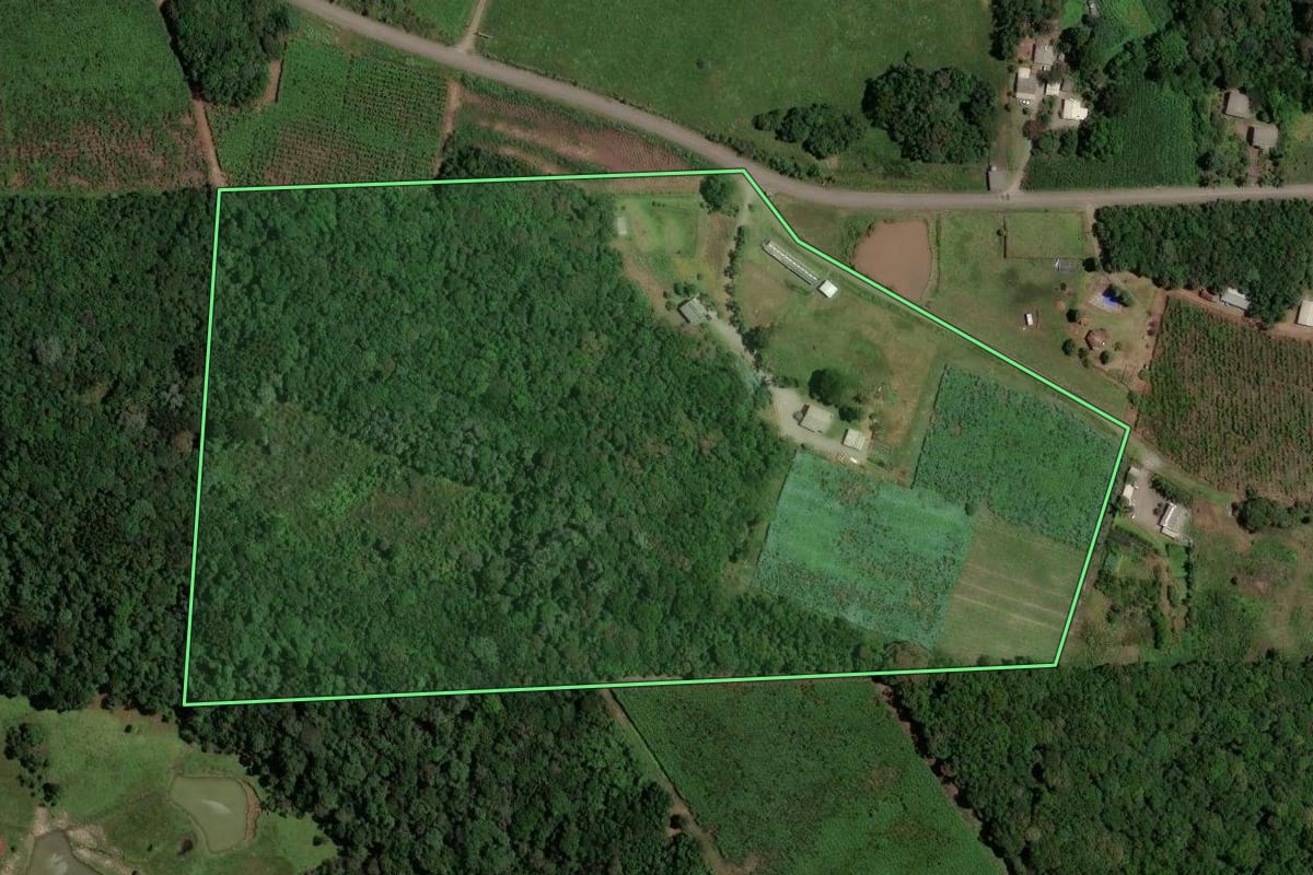 Imagem de satélite do imóvel rural em Flores da Cunha (RS), com o contorno declarado no CAR desenhado por cima.
