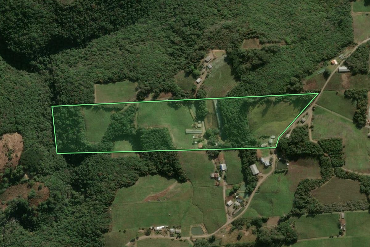 Imagem de satélite do imóvel rural em Flores da Cunha (RS), com o contorno declarado no CAR desenhado por cima.