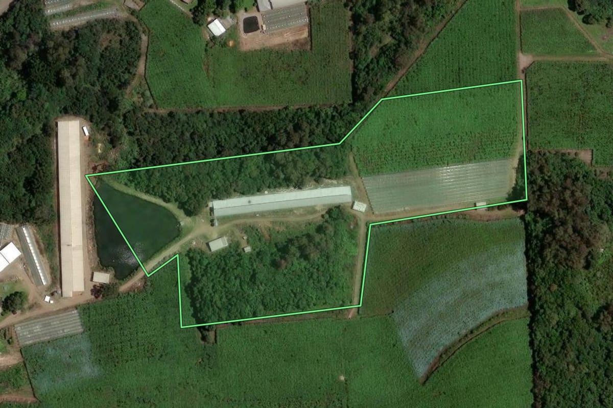 Imagem de satélite do imóvel rural em Flores da Cunha (RS), com o contorno declarado no CAR desenhado por cima.