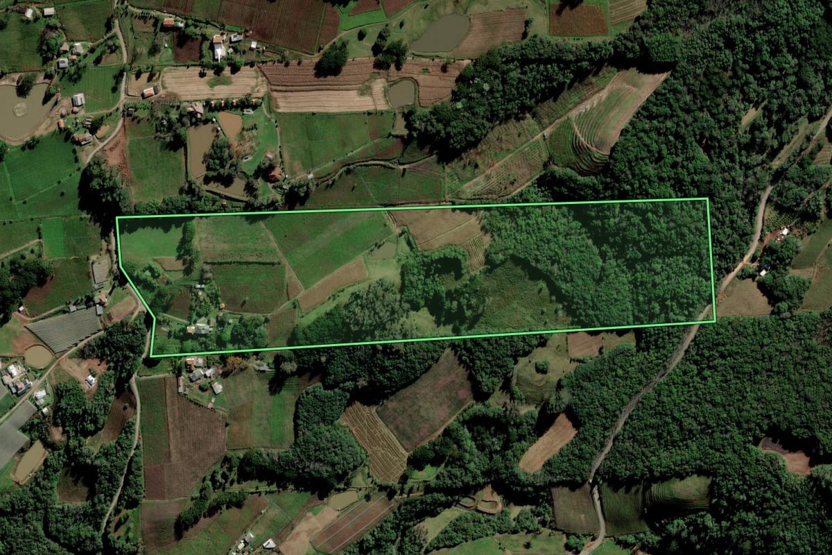 Imagem de satélite do imóvel rural em Flores da Cunha (RS), com o contorno declarado no CAR desenhado por cima.