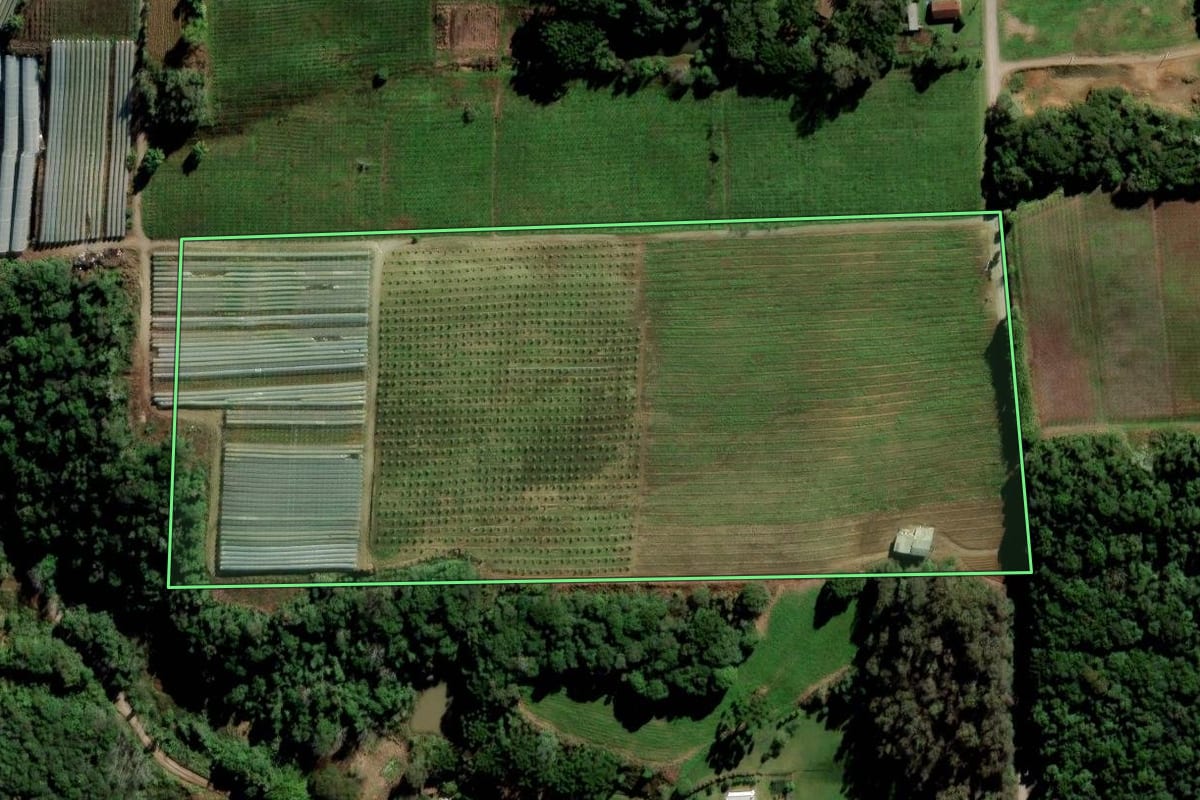 Imagem de satélite do imóvel rural em Flores da Cunha (RS), com o contorno declarado no CAR desenhado por cima.