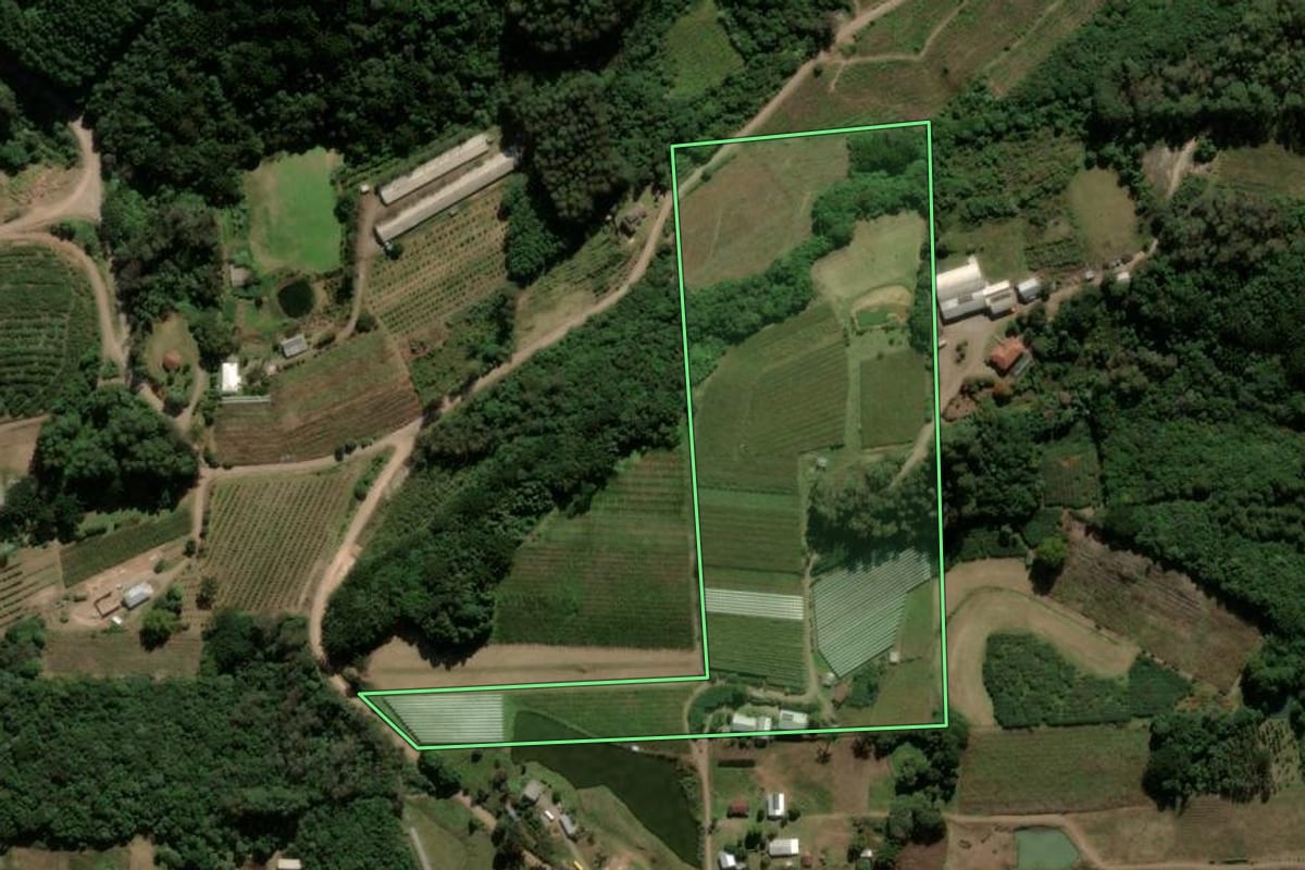 Imagem de satélite do imóvel rural em Flores da Cunha (RS), com o contorno declarado no CAR desenhado por cima.