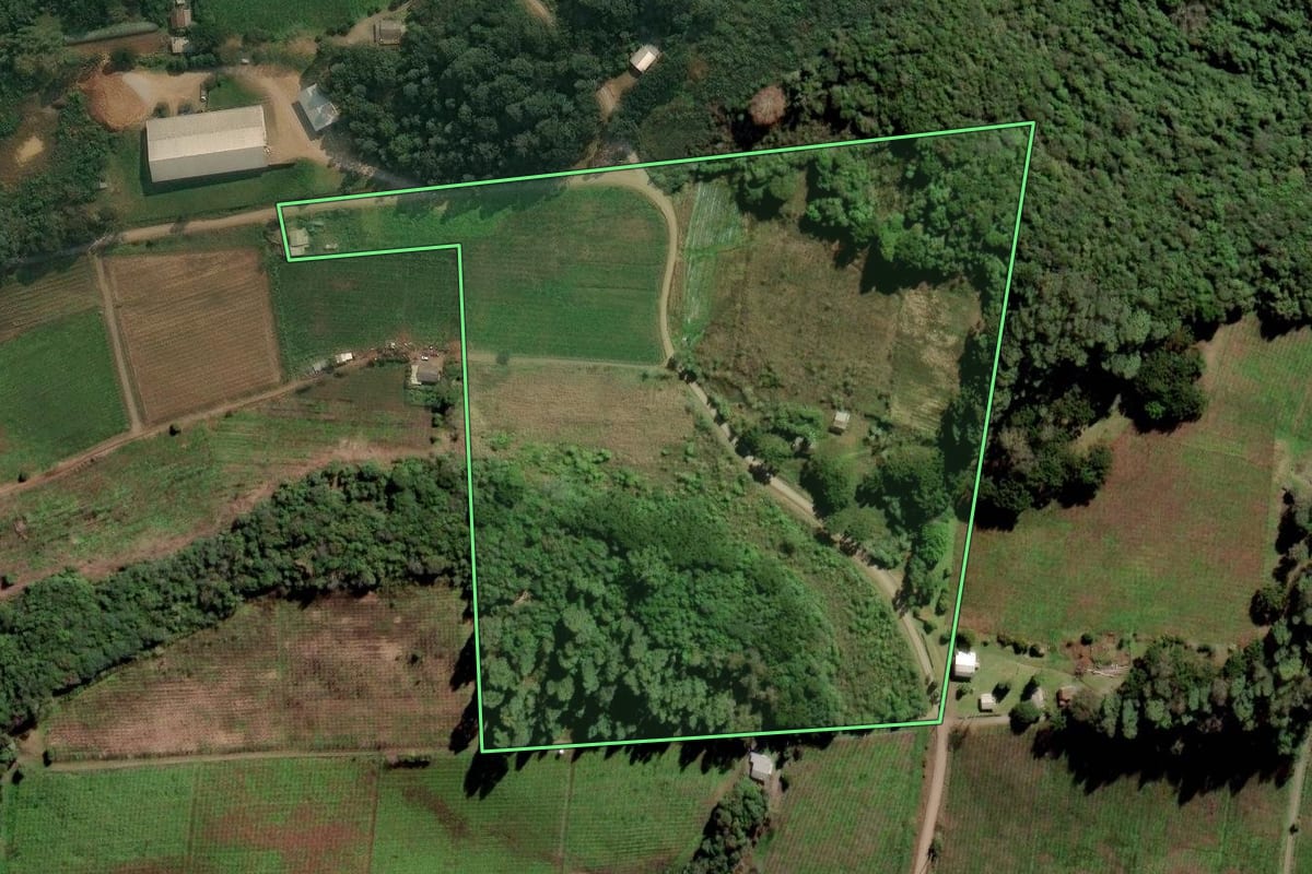 Imagem de satélite do imóvel rural em Flores da Cunha (RS), com o contorno declarado no CAR desenhado por cima.
