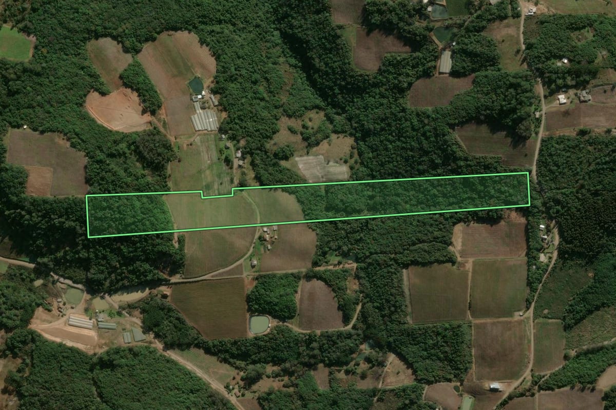 Imagem de satélite do imóvel rural em Flores da Cunha (RS), com o contorno declarado no CAR desenhado por cima.