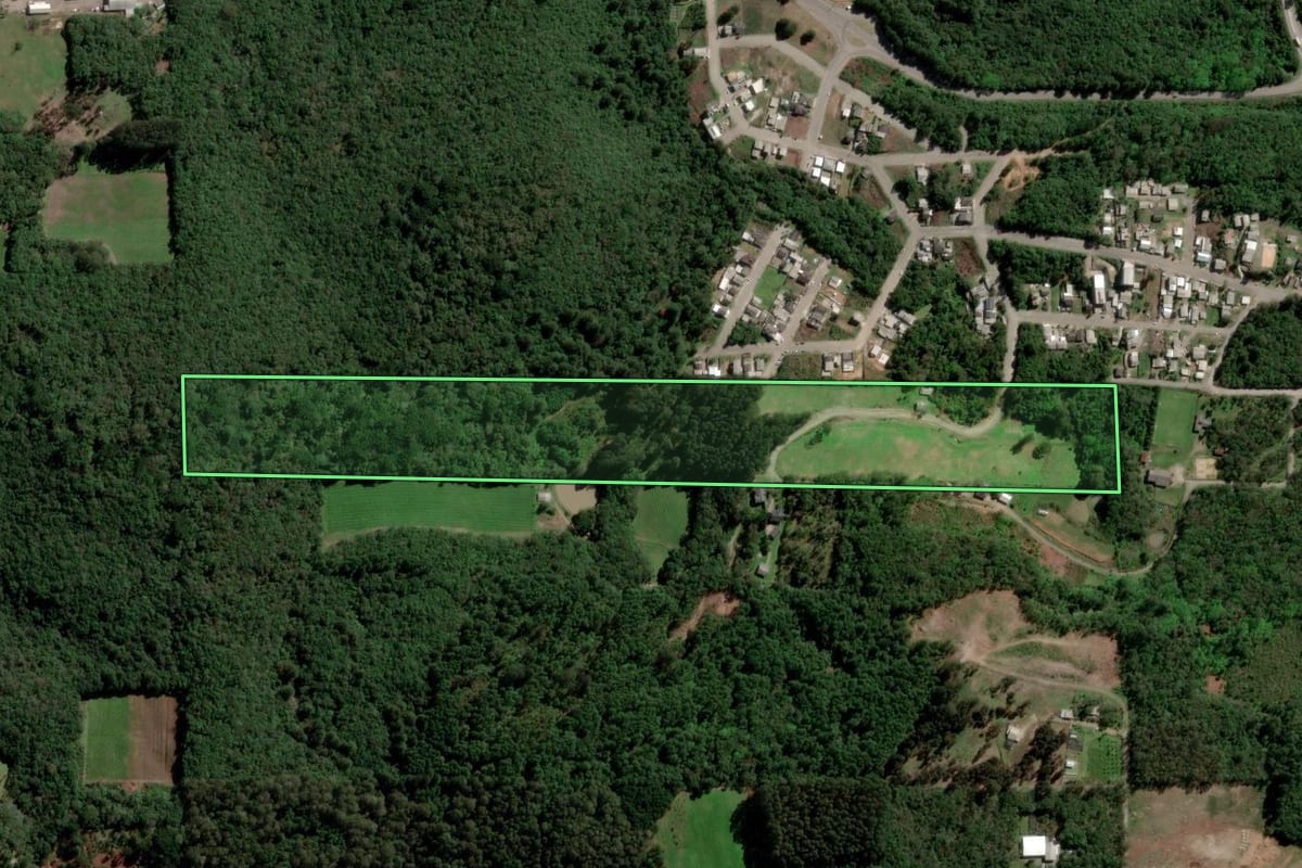 Imagem de satélite do imóvel rural em Flores da Cunha (RS), com o contorno declarado no CAR desenhado por cima.