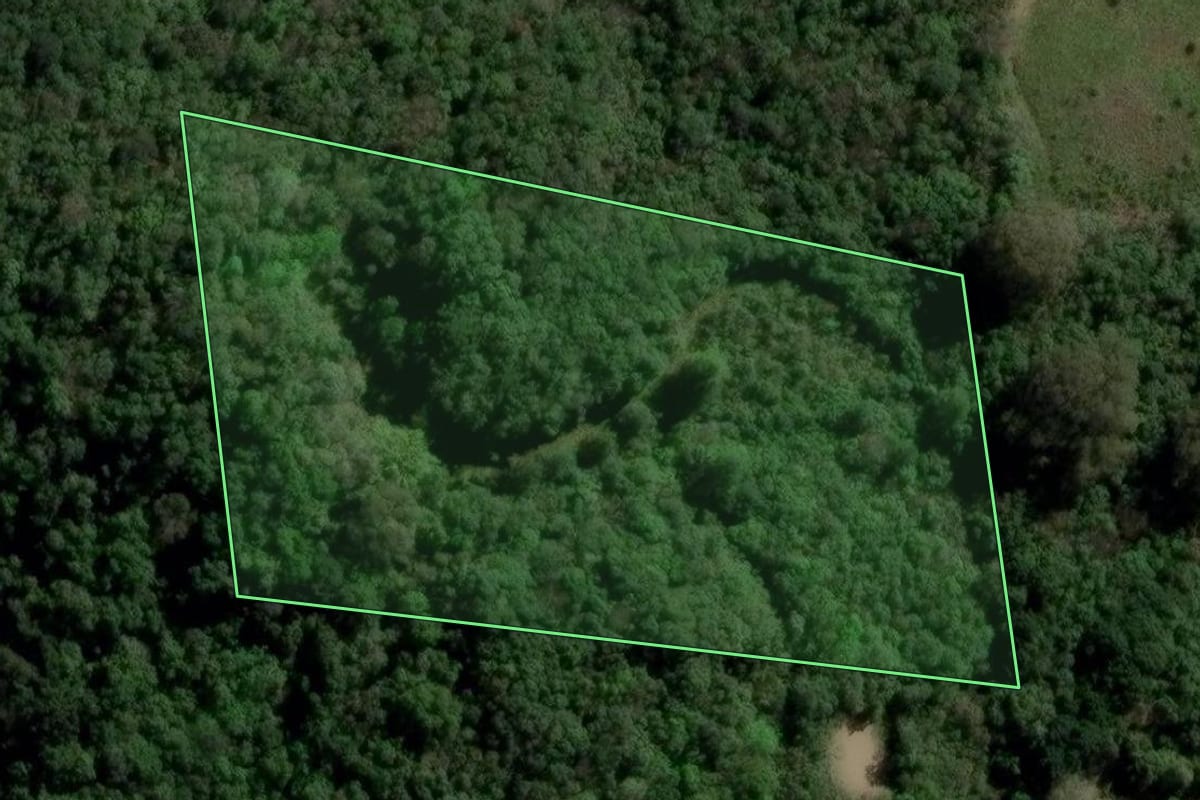 Imagem de satélite do imóvel rural em Flores da Cunha (RS), com o contorno declarado no CAR desenhado por cima.