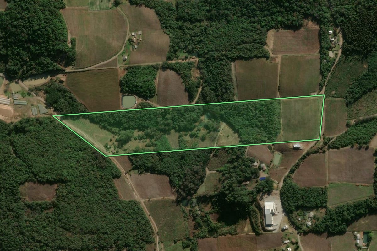 Imagem de satélite do imóvel rural em Flores da Cunha (RS), com o contorno declarado no CAR desenhado por cima.