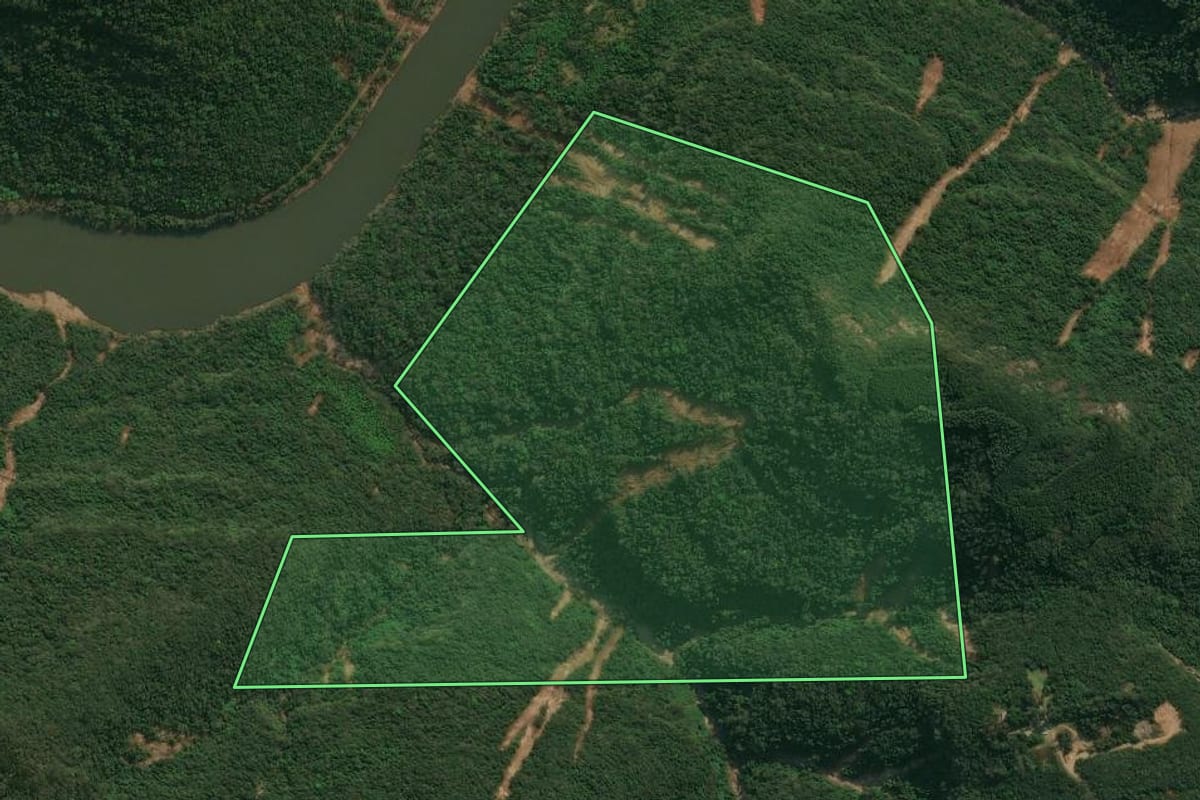Imagem de satélite do imóvel rural em Flores da Cunha (RS), com o contorno declarado no CAR desenhado por cima.