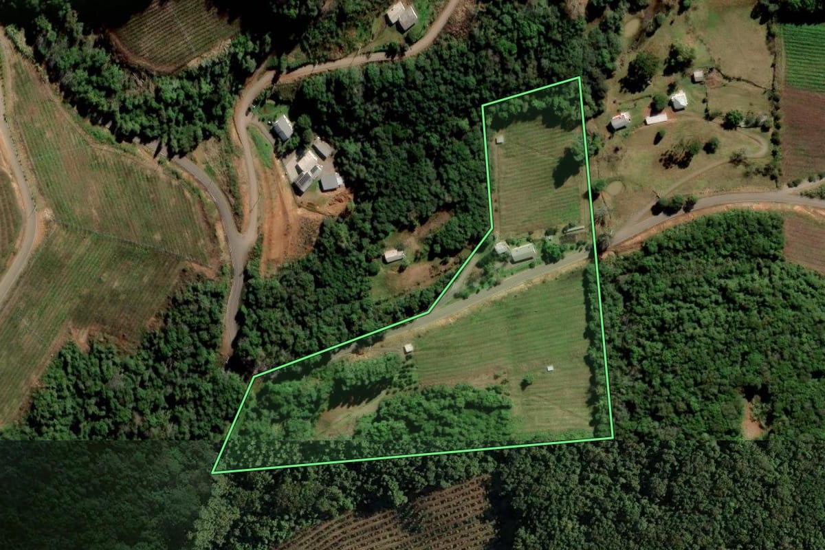 Imagem de satélite do imóvel rural em Flores da Cunha (RS), com o contorno declarado no CAR desenhado por cima.