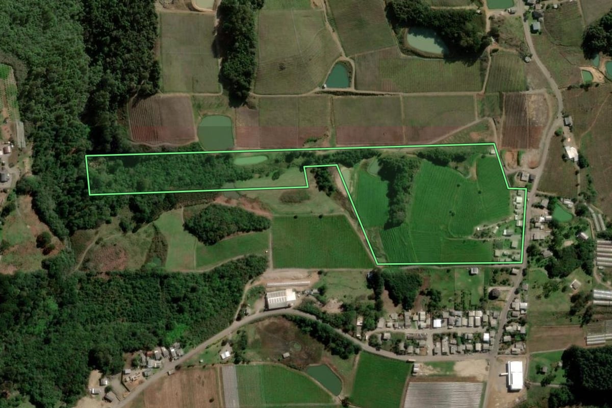 Imagem de satélite do imóvel rural em Flores da Cunha (RS), com o contorno declarado no CAR desenhado por cima.