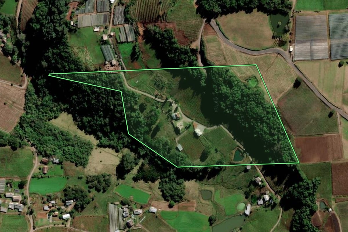 Imagem de satélite do imóvel rural em Flores da Cunha (RS), com o contorno declarado no CAR desenhado por cima.