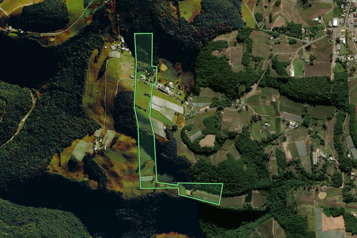 Imagem de satélite do imóvel rural em Flores da Cunha (RS), com o contorno declarado no CAR desenhado por cima.