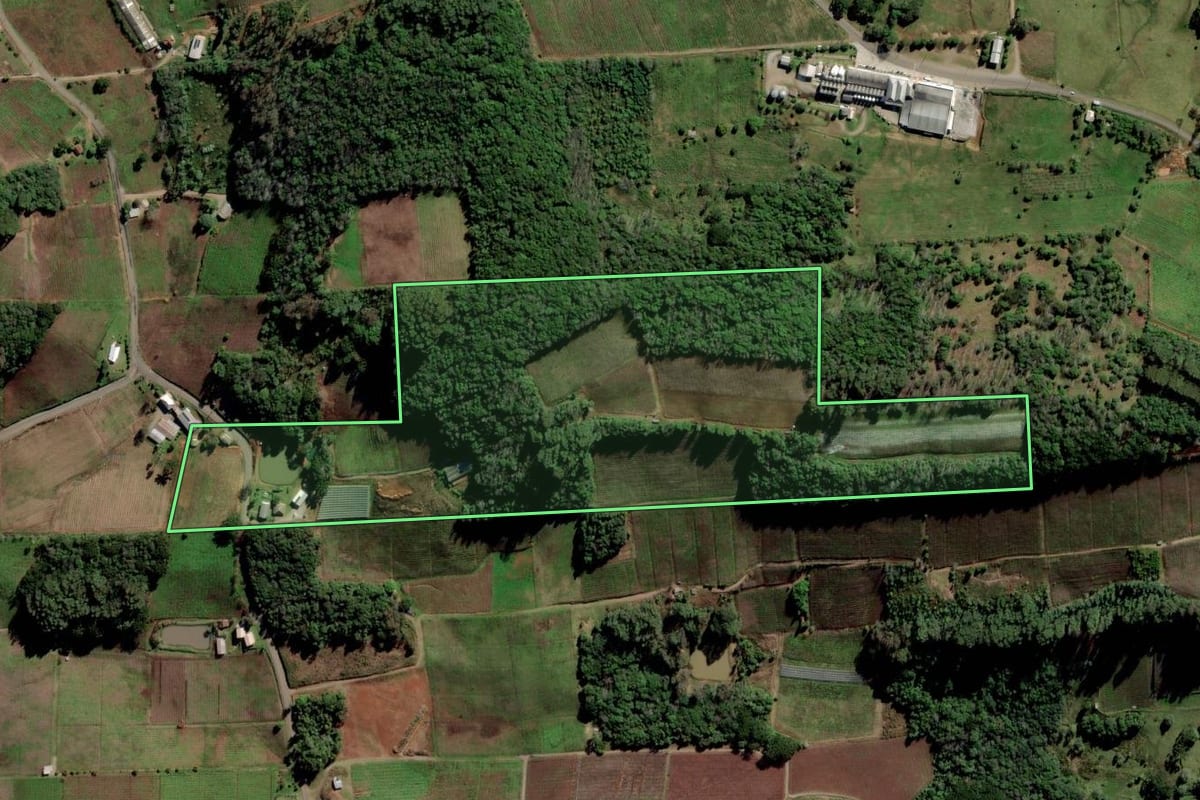 Imagem de satélite do imóvel rural em Flores da Cunha (RS), com o contorno declarado no CAR desenhado por cima.
