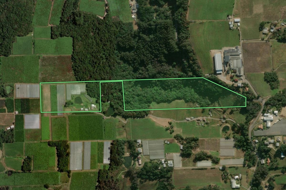 Imagem de satélite do imóvel rural em Flores da Cunha (RS), com o contorno declarado no CAR desenhado por cima.