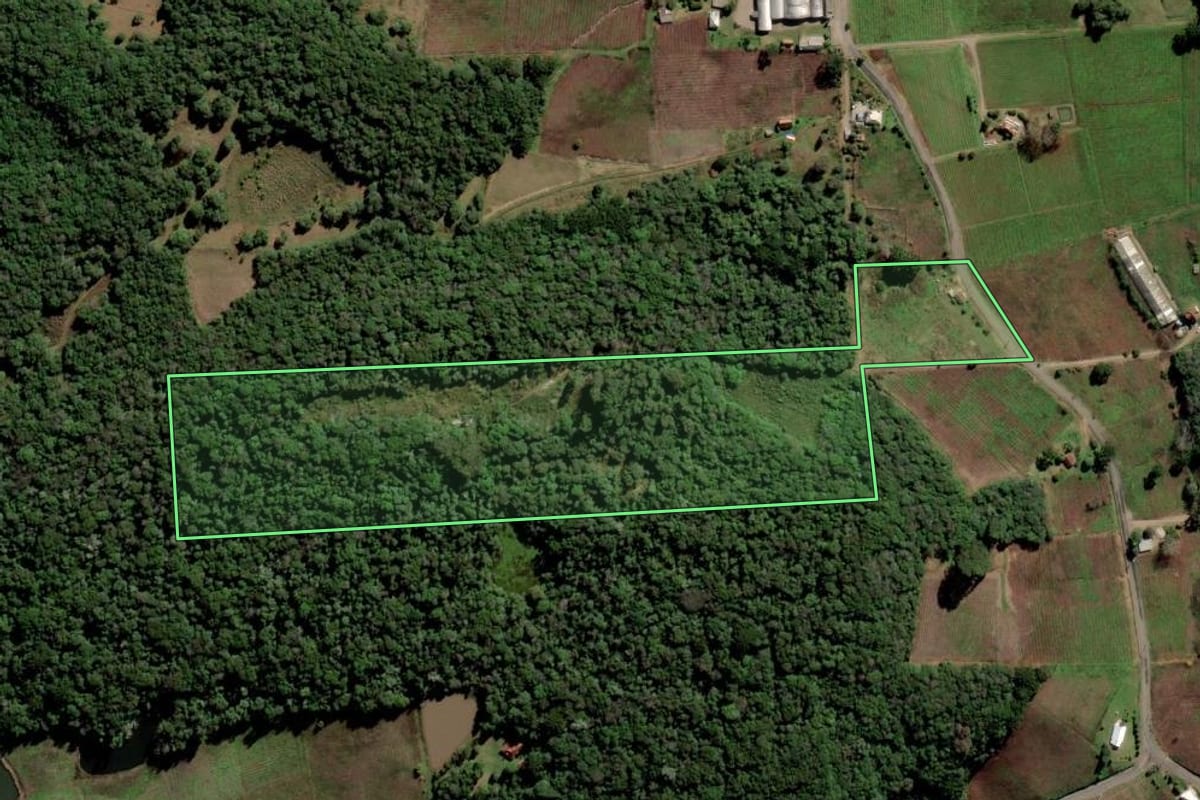 Imagem de satélite do imóvel rural em Flores da Cunha (RS), com o contorno declarado no CAR desenhado por cima.