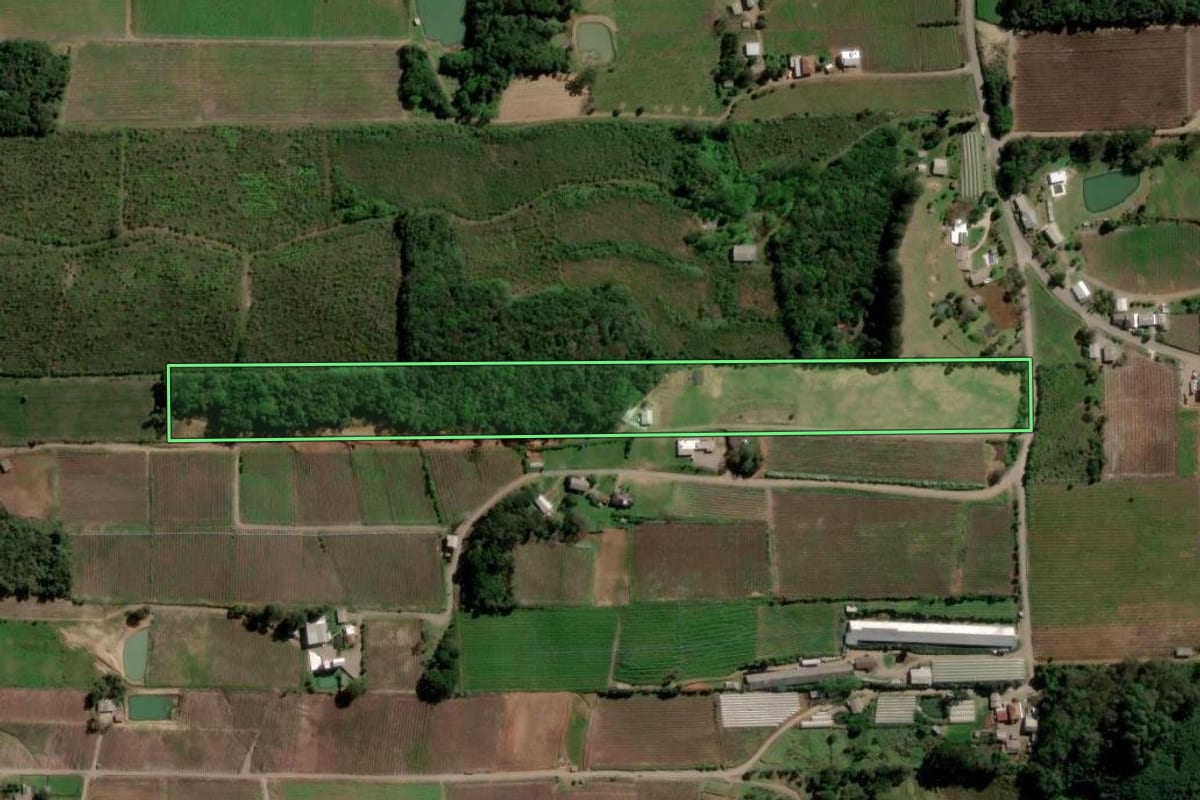Imagem de satélite do imóvel rural em Flores da Cunha (RS), com o contorno declarado no CAR desenhado por cima.
