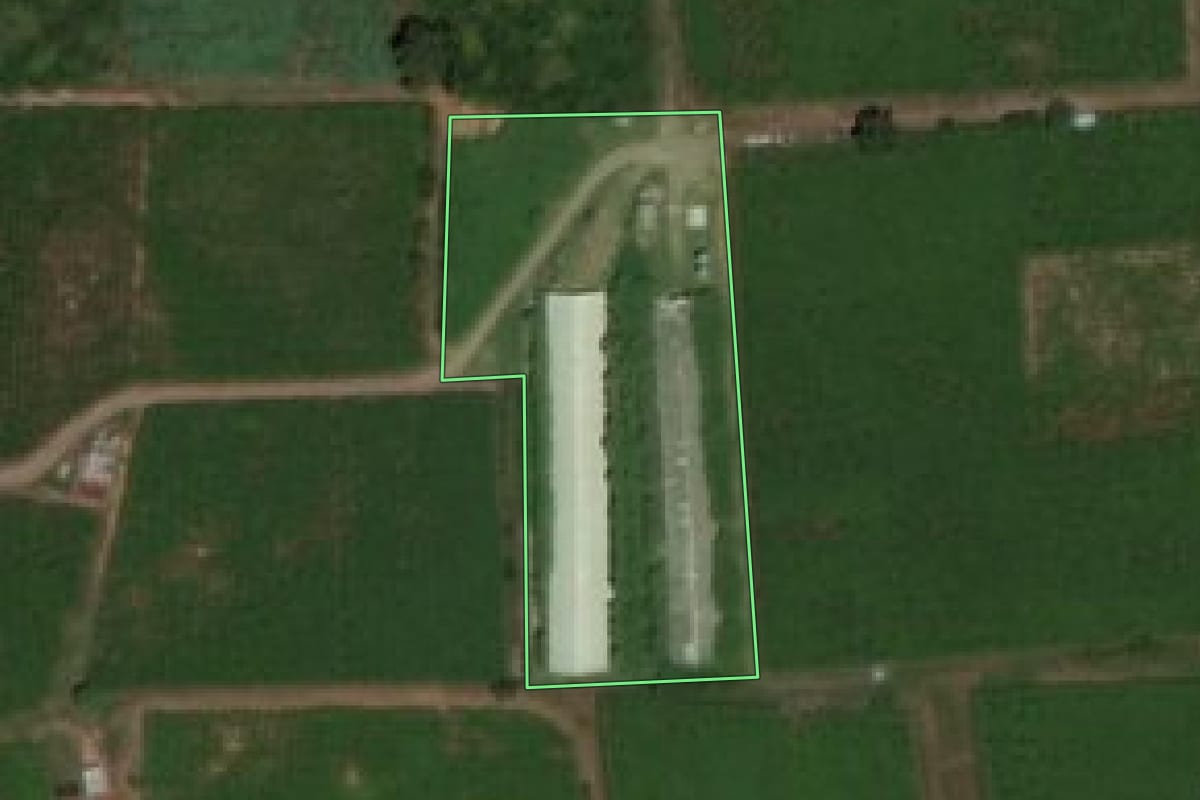 Imagem de satélite do imóvel rural em Flores da Cunha (RS), com o contorno declarado no CAR desenhado por cima.