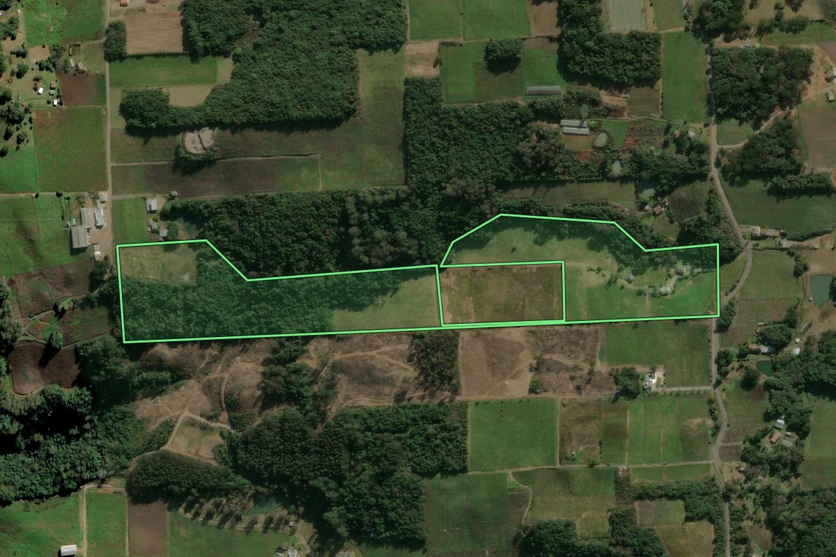 Imagem de satélite do imóvel rural em Flores da Cunha (RS), com o contorno declarado no CAR desenhado por cima.