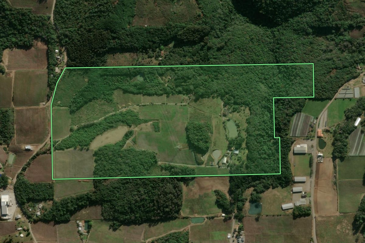 Imagem de satélite do imóvel rural em Flores da Cunha (RS), com o contorno declarado no CAR desenhado por cima.