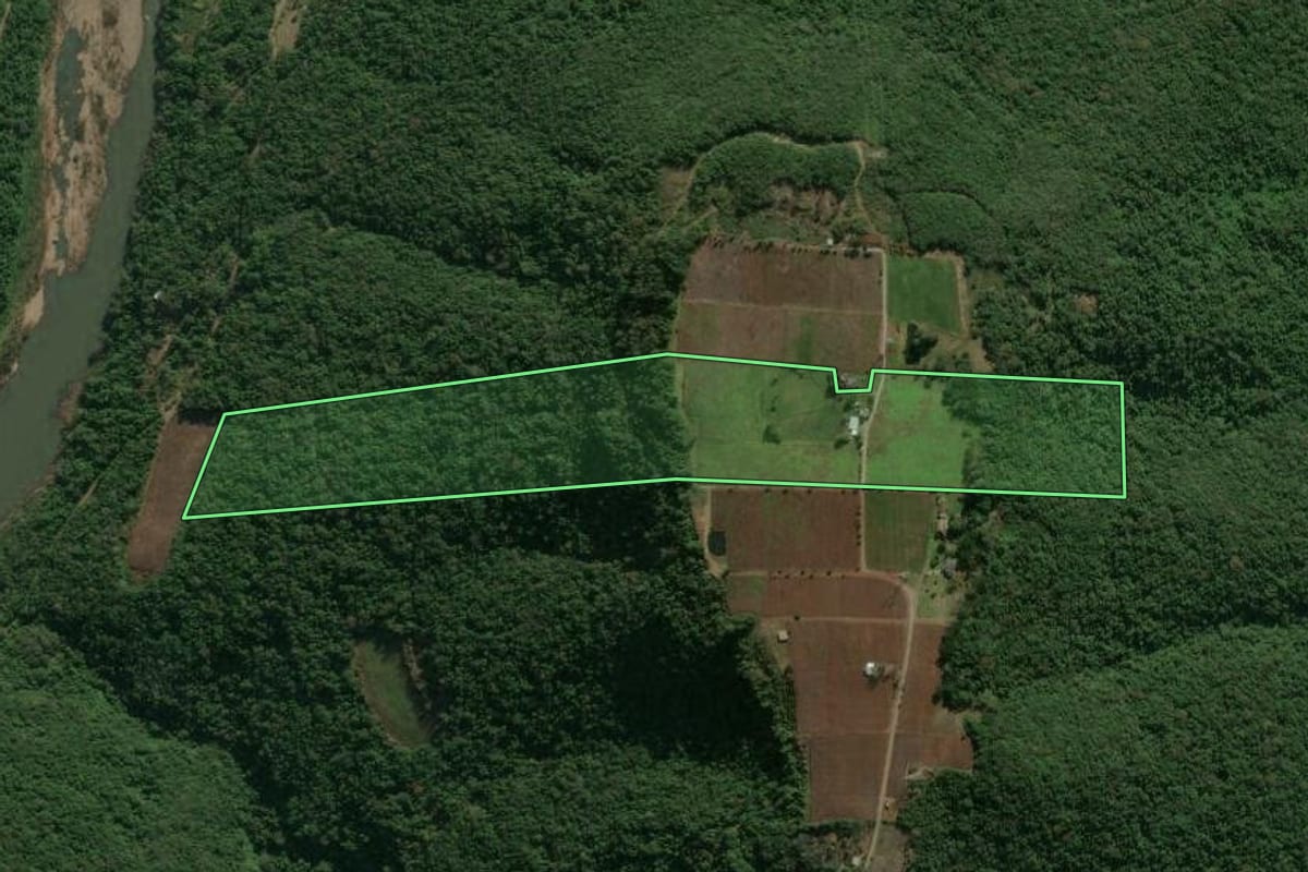 Imagem de satélite do imóvel rural em Flores da Cunha (RS), com o contorno declarado no CAR desenhado por cima.