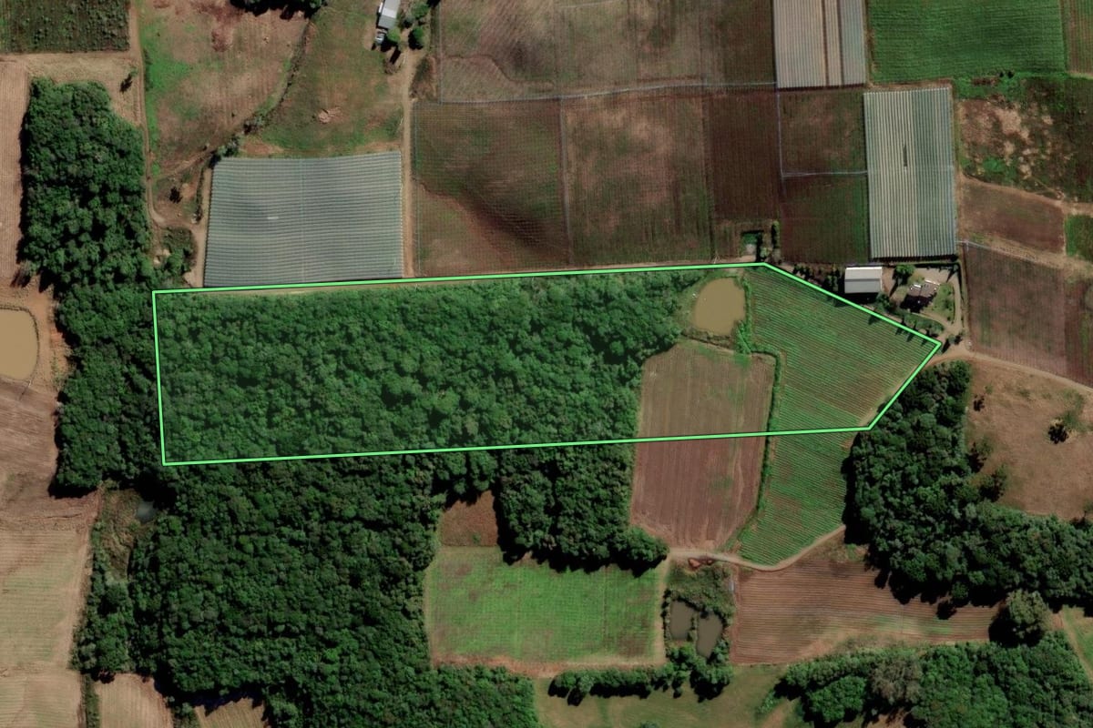 Imagem de satélite do imóvel rural em Flores da Cunha (RS), com o contorno declarado no CAR desenhado por cima.