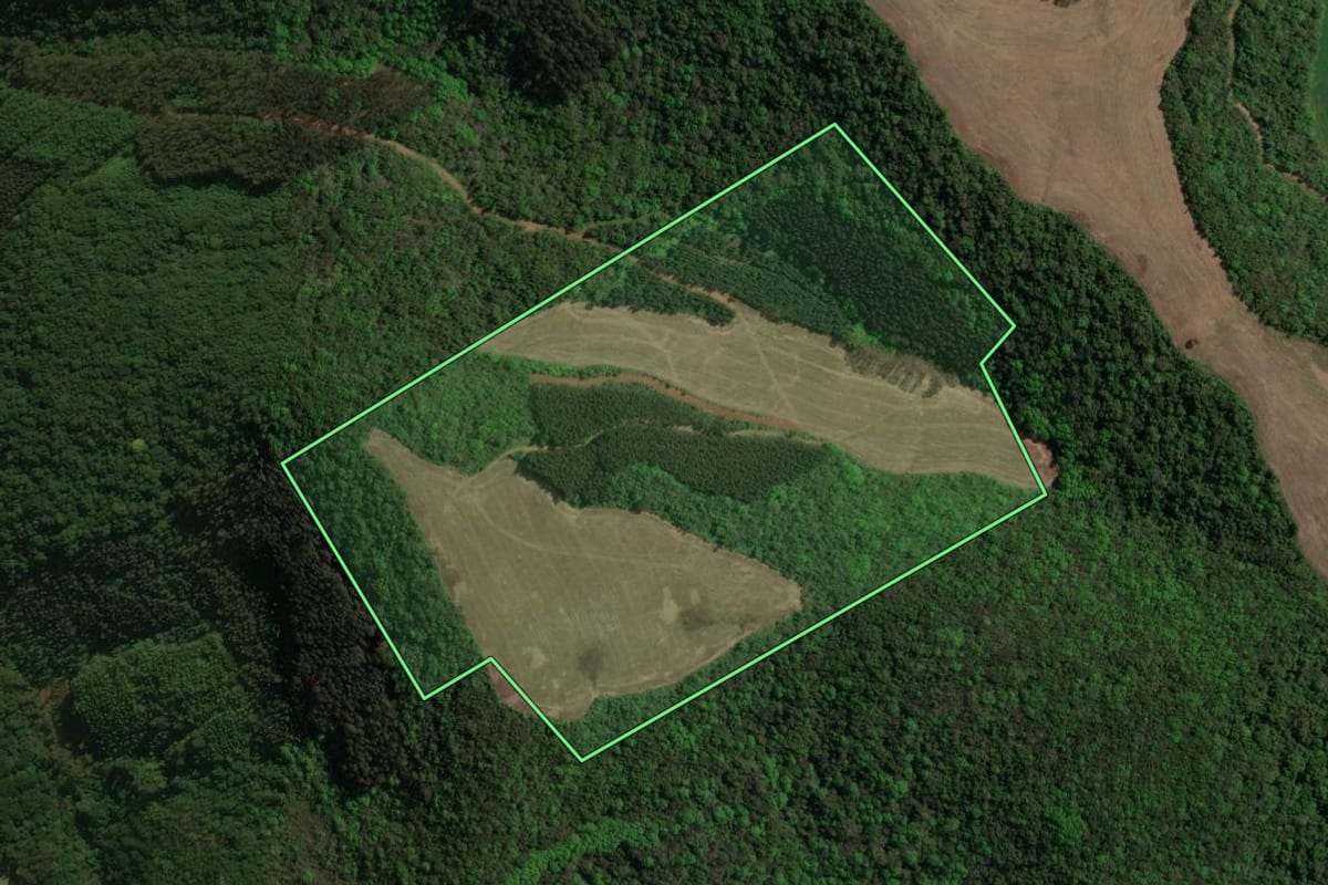 Imagem de satélite do imóvel rural em Floriano Peixoto (RS), com o contorno declarado no CAR desenhado por cima.