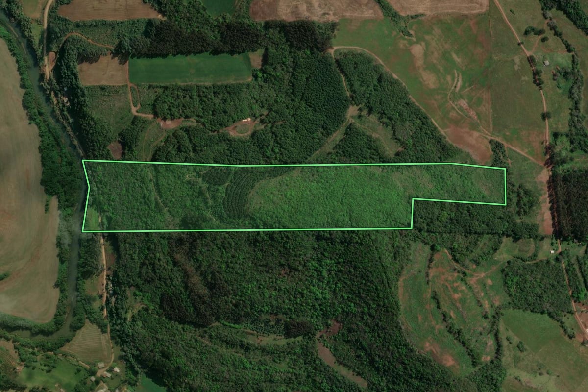 Imagem de satélite do imóvel rural em Floriano Peixoto (RS), com o contorno declarado no CAR desenhado por cima.