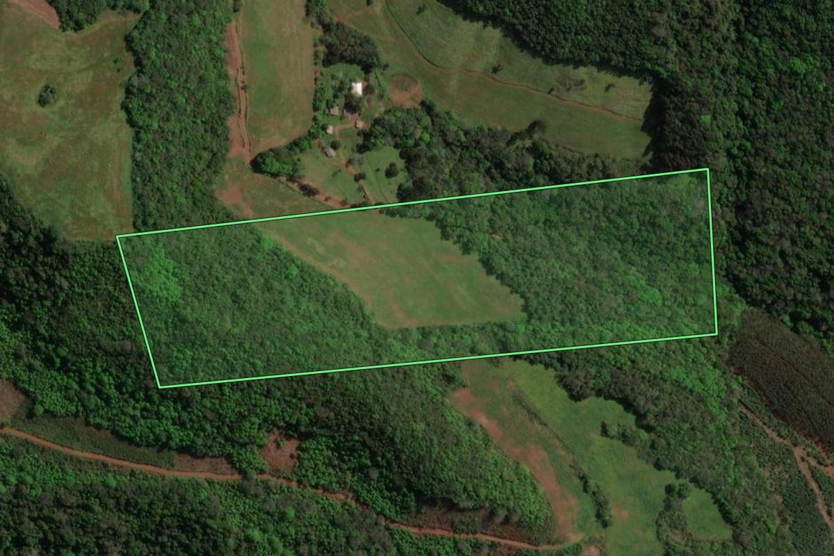 Imagem de satélite do imóvel rural em Floriano Peixoto (RS), com o contorno declarado no CAR desenhado por cima.