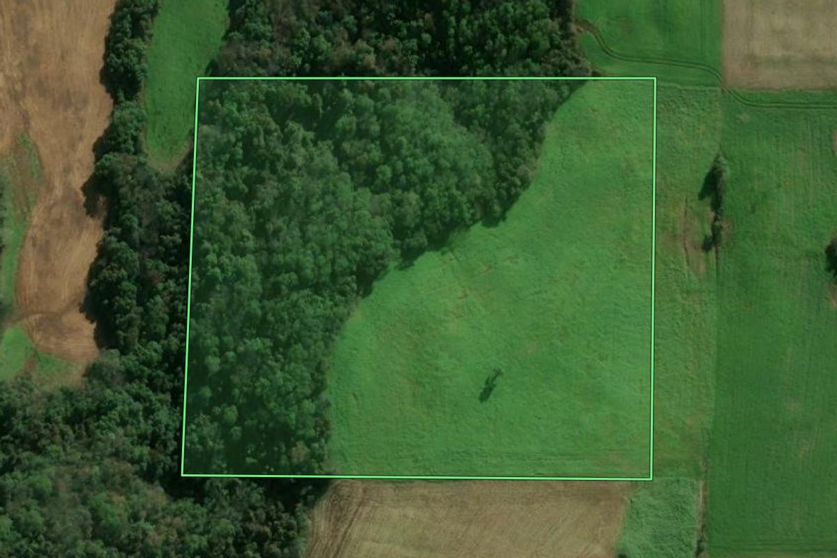 Imagem de satélite do imóvel rural em Floriano Peixoto (RS), com o contorno declarado no CAR desenhado por cima.