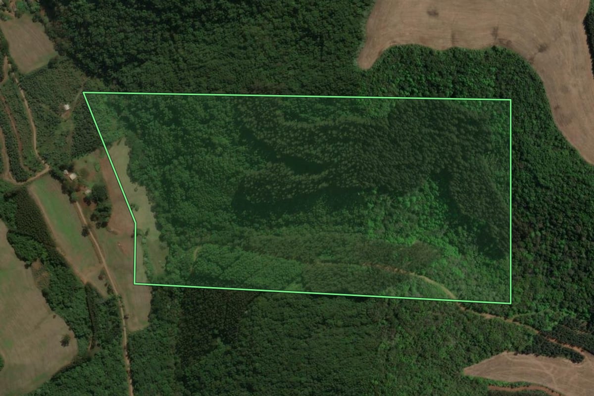 Imagem de satélite do imóvel rural em Floriano Peixoto (RS), com o contorno declarado no CAR desenhado por cima.
