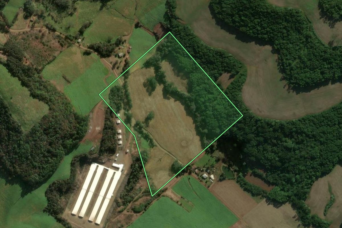 Imagem de satélite do imóvel rural em Floriano Peixoto (RS), com o contorno declarado no CAR desenhado por cima.