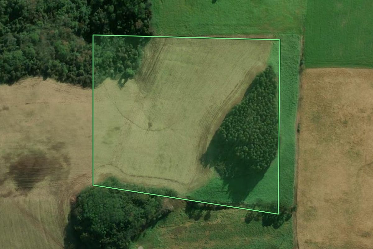Imagem de satélite do imóvel rural em Floriano Peixoto (RS), com o contorno declarado no CAR desenhado por cima.