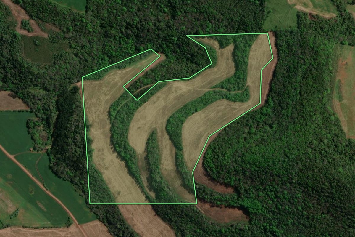 Imagem de satélite do imóvel rural em Floriano Peixoto (RS), com o contorno declarado no CAR desenhado por cima.