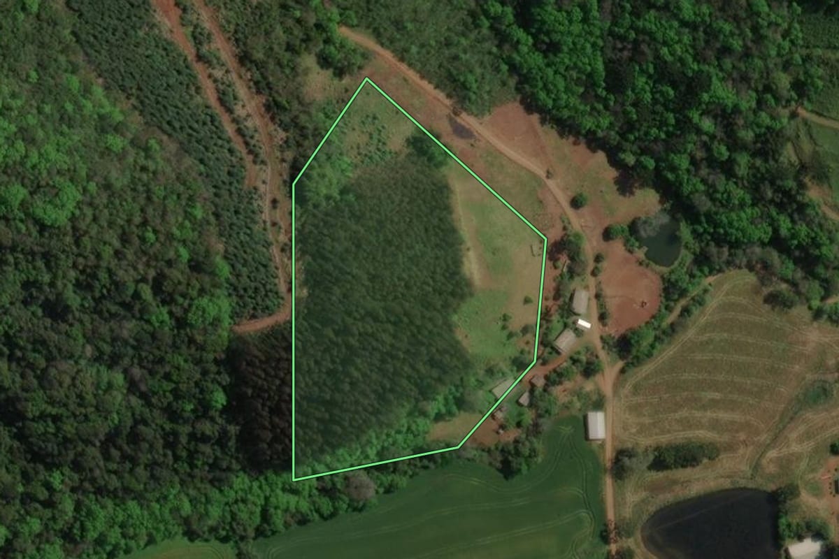Imagem de satélite do imóvel rural em Floriano Peixoto (RS), com o contorno declarado no CAR desenhado por cima.