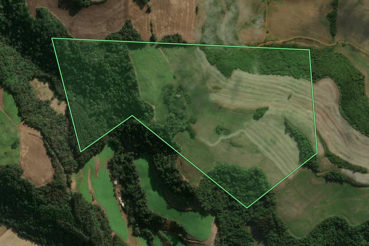 Imagem de satélite do imóvel rural em Floriano Peixoto (RS), com o contorno declarado no CAR desenhado por cima.