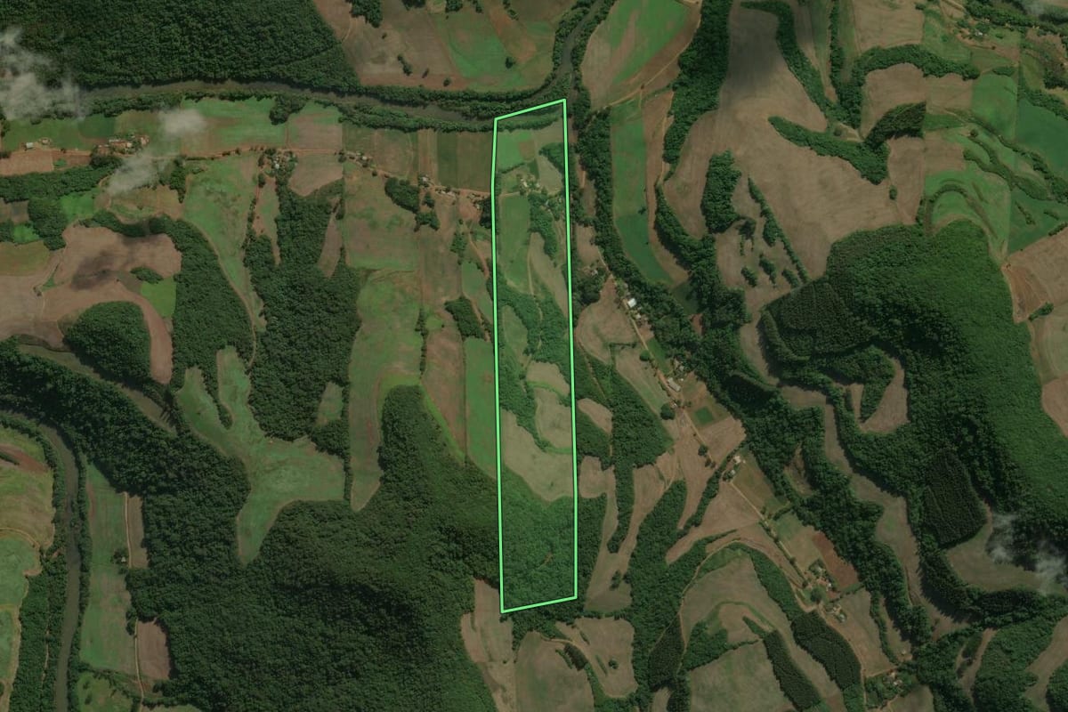 Imagem de satélite do imóvel rural em Floriano Peixoto (RS), com o contorno declarado no CAR desenhado por cima.