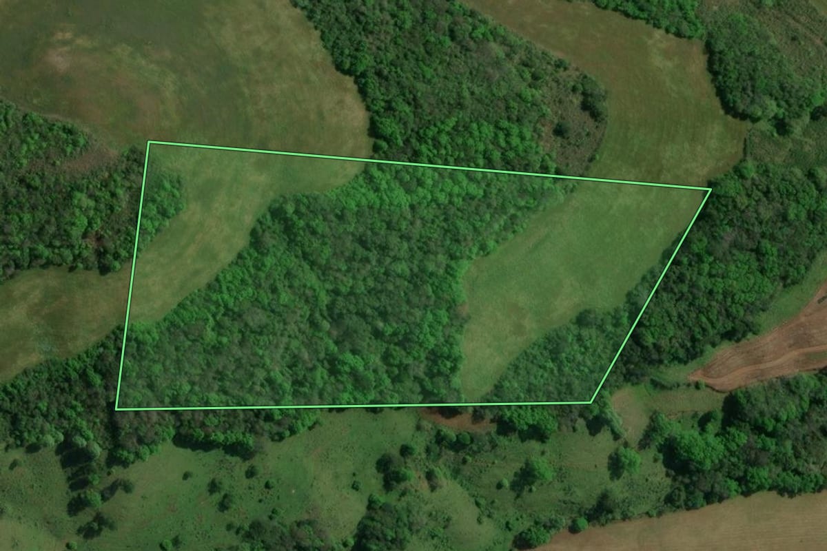 Imagem de satélite do imóvel rural em Floriano Peixoto (RS), com o contorno declarado no CAR desenhado por cima.