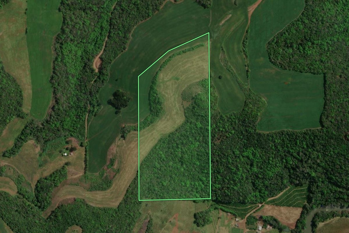 Imagem de satélite do imóvel rural em Floriano Peixoto (RS), com o contorno declarado no CAR desenhado por cima.
