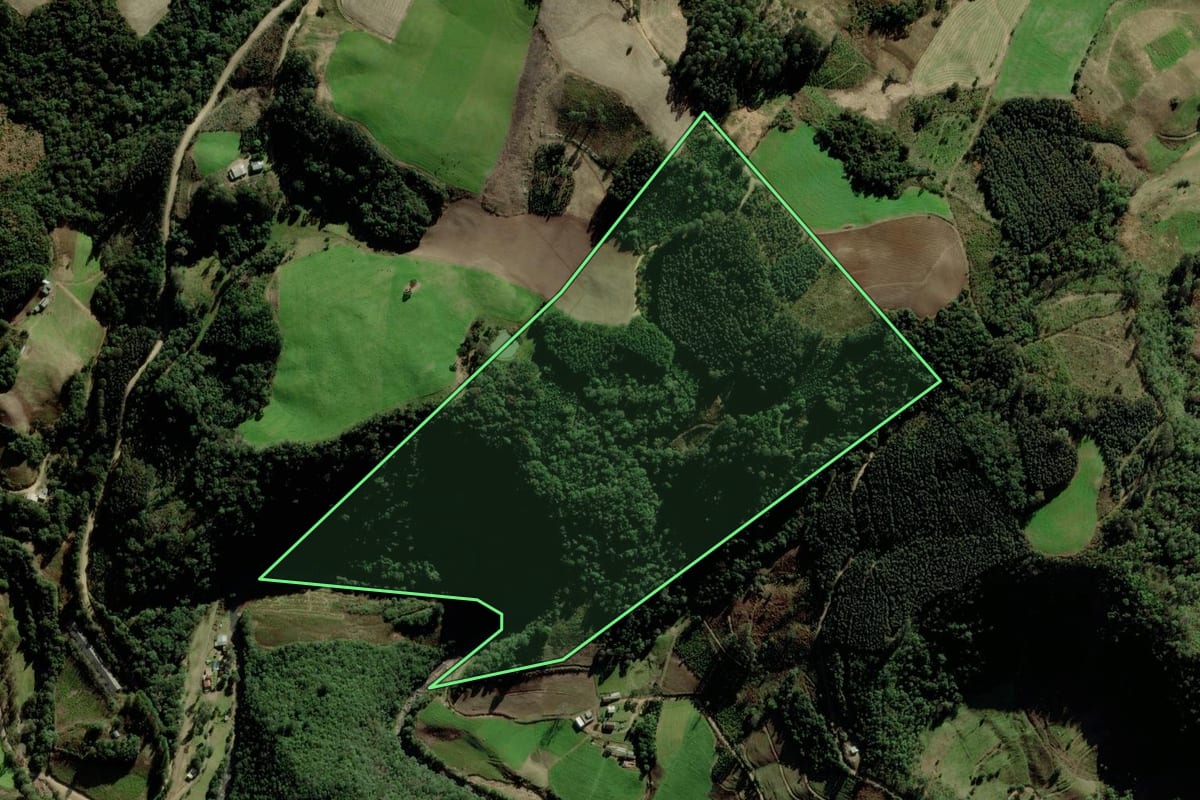 Imagem de satélite do imóvel rural em Fontoura Xavier (RS), com o contorno declarado no CAR desenhado por cima.