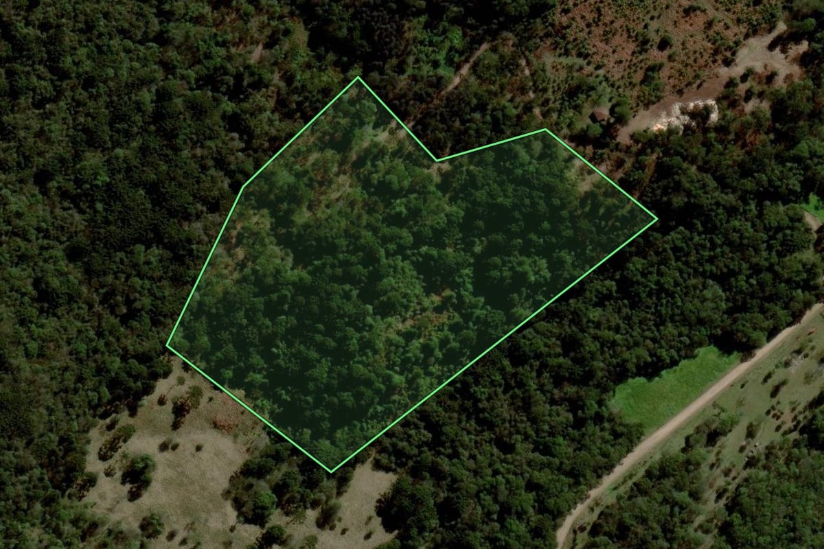 Imagem de satélite do imóvel rural em Fontoura Xavier (RS), com o contorno declarado no CAR desenhado por cima.