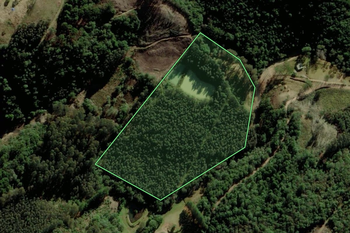 Imagem de satélite do imóvel rural em Fontoura Xavier (RS), com o contorno declarado no CAR desenhado por cima.
