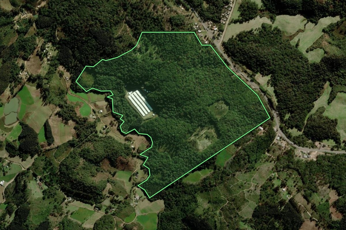 Imagem de satélite do imóvel rural em Fontoura Xavier (RS), com o contorno declarado no CAR desenhado por cima.