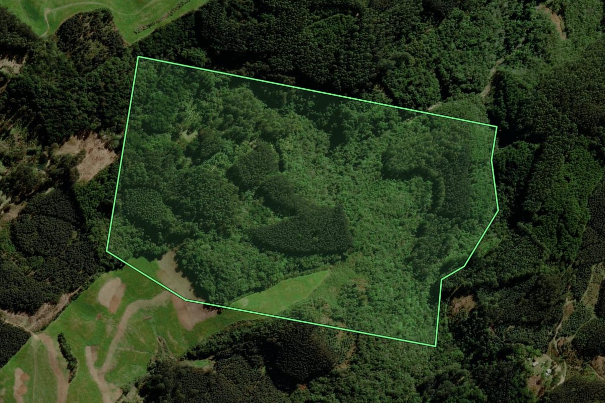 Imagem de satélite do imóvel rural em Fontoura Xavier (RS), com o contorno declarado no CAR desenhado por cima.