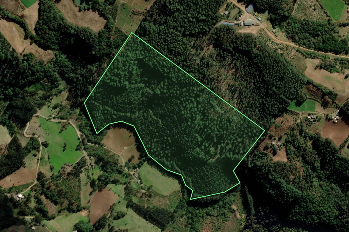 Imagem de satélite do imóvel rural em Fontoura Xavier (RS), com o contorno declarado no CAR desenhado por cima.