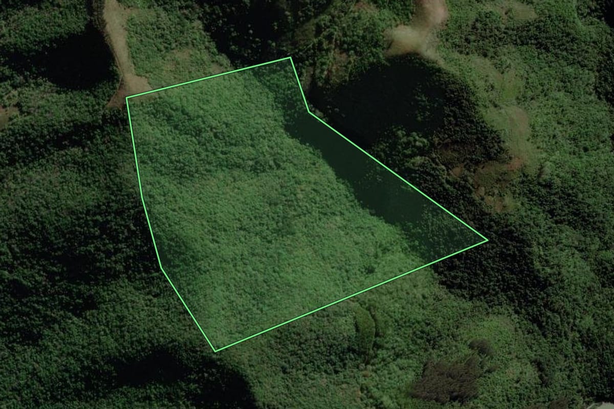 Imagem de satélite do imóvel rural em Fontoura Xavier (RS), com o contorno declarado no CAR desenhado por cima.