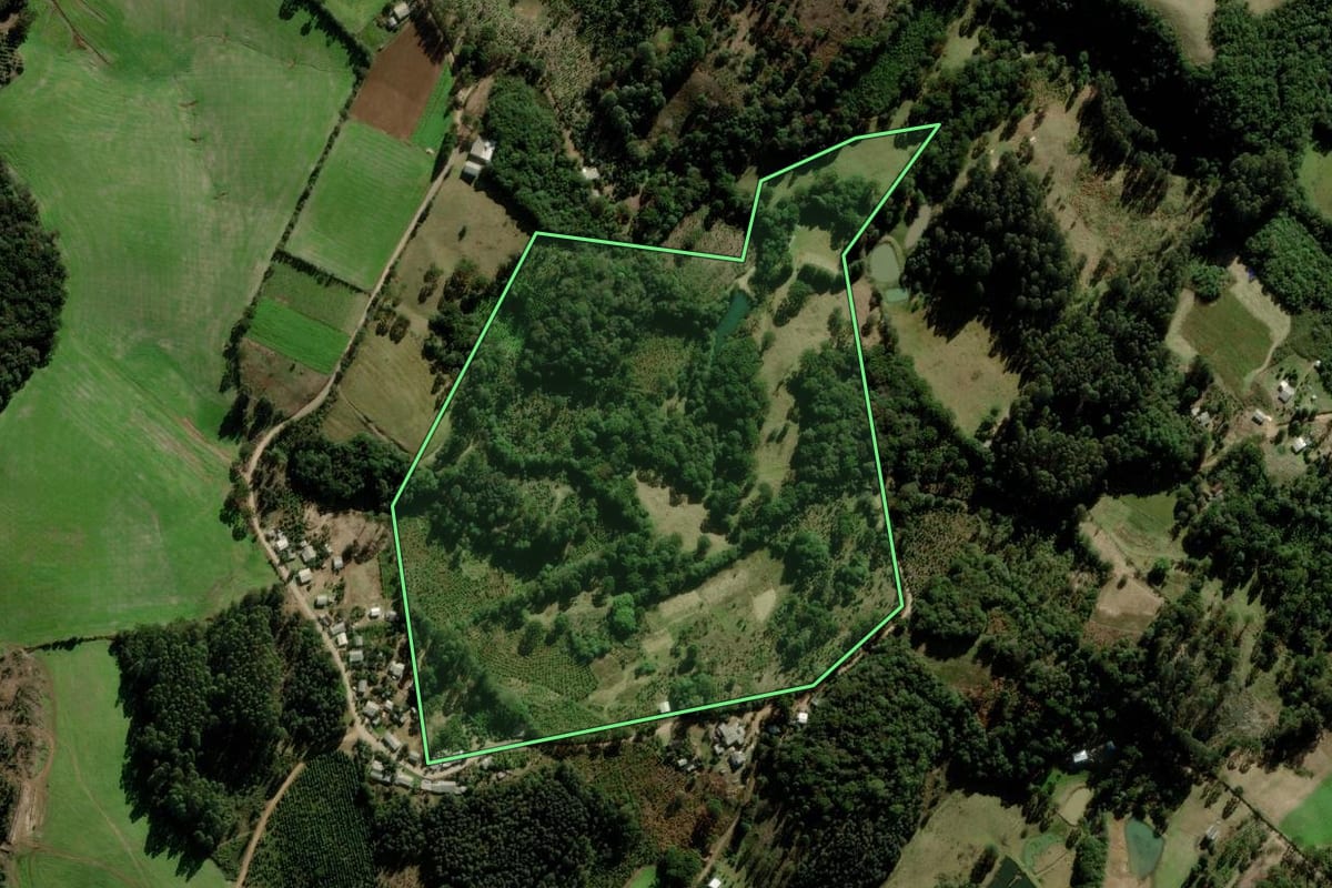 Imagem de satélite do imóvel rural em Fontoura Xavier (RS), com o contorno declarado no CAR desenhado por cima.