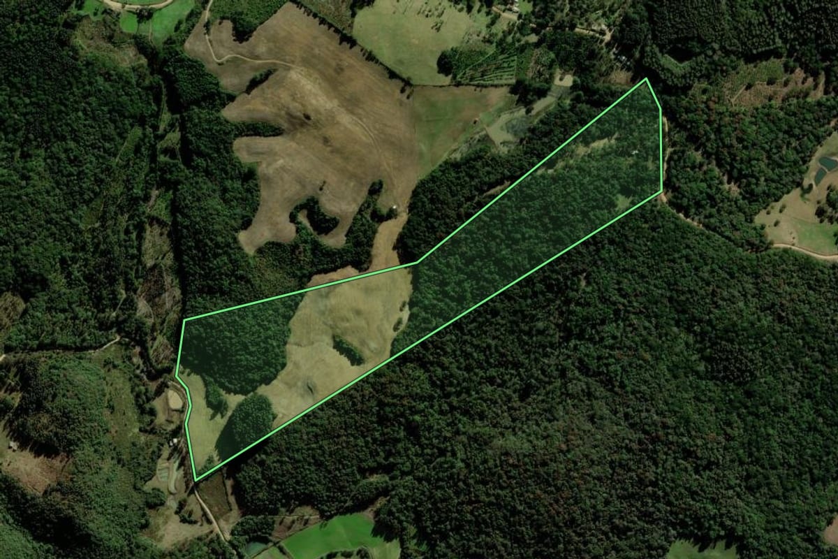 Imagem de satélite do imóvel rural em Fontoura Xavier (RS), com o contorno declarado no CAR desenhado por cima.