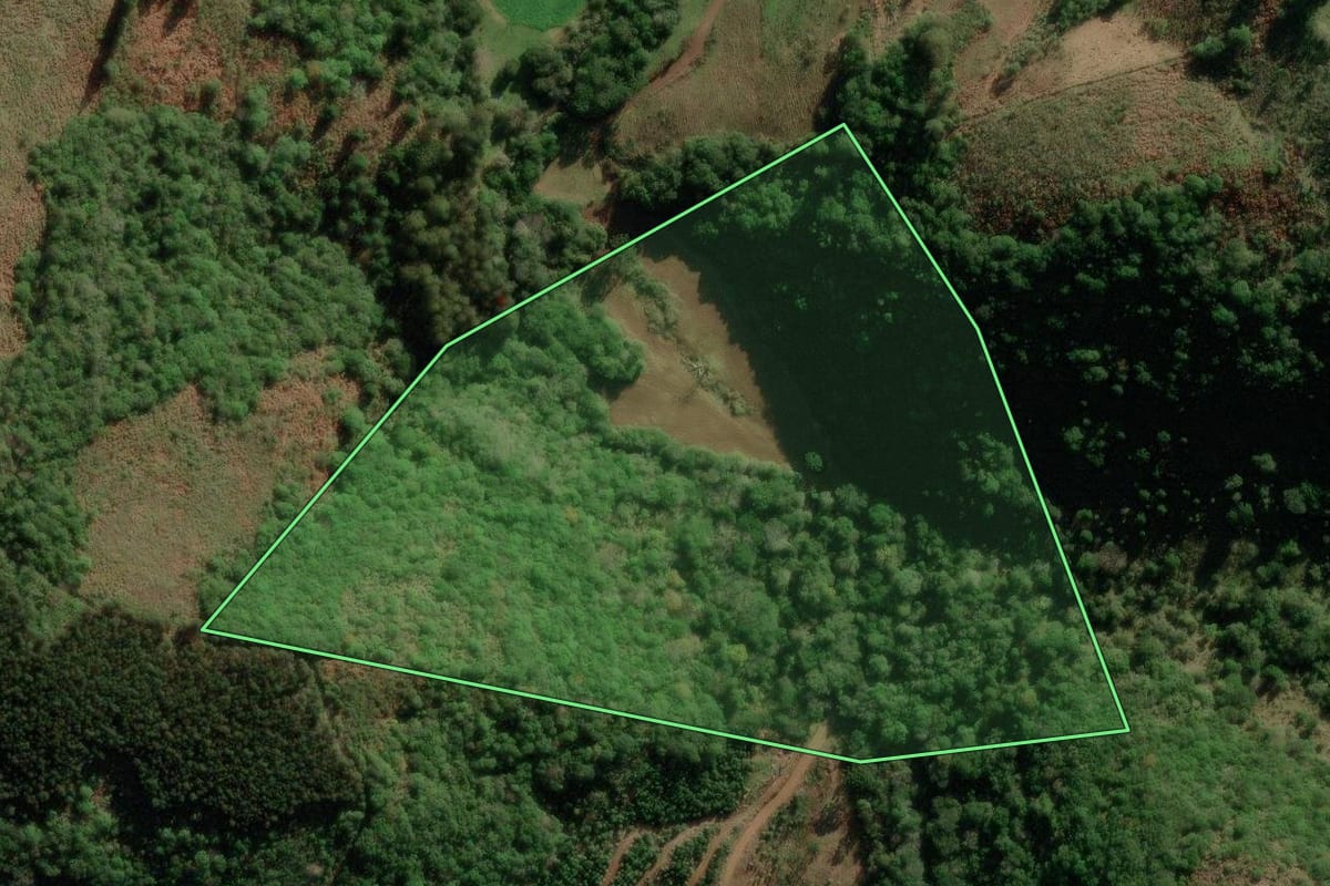 Imagem de satélite do imóvel rural em Fontoura Xavier (RS), com o contorno declarado no CAR desenhado por cima.